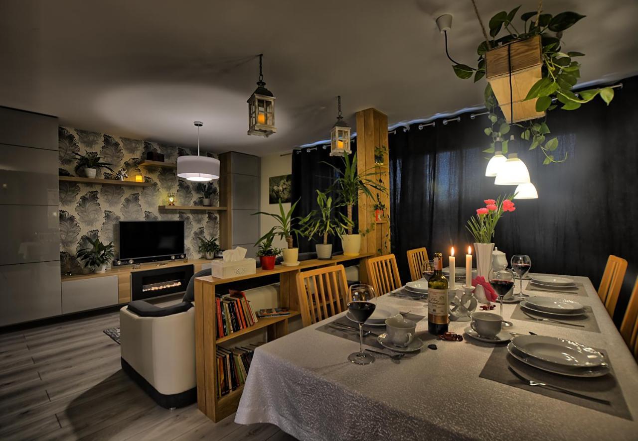 شقة اوسترزوكي دولن  في Apartament "Ludwik" المظهر الخارجي الصورة